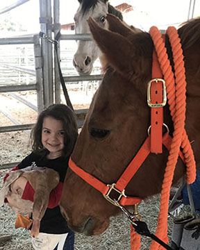 girl, duck and horse